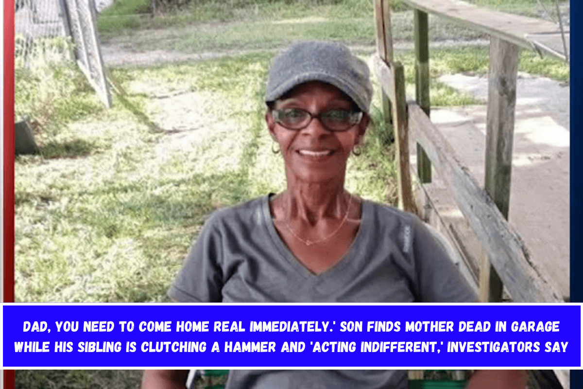 Dad, you need to come home real immediately.' Son finds mother dead in garage while his sibling is clutching a hammer and 'acting indifferent,' investigators say