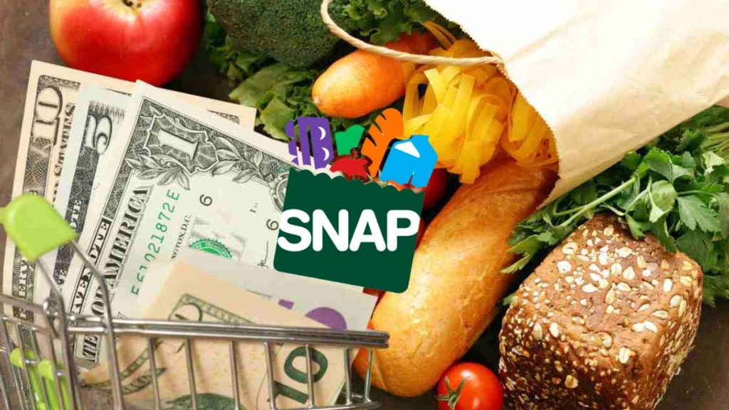 $1,756 SNAP Benefits in New York: January Payments Wrap Up Soon