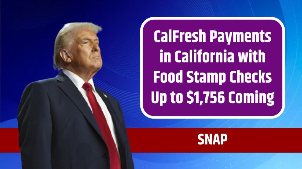 Snap Calfresh Payments In California With Food Stamp Checks Up To 1756 Coming In December 1301