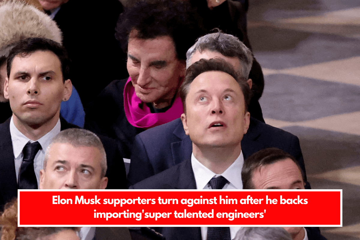 Elon Musk supporters turn against him after he backs importing'super talented engineers'