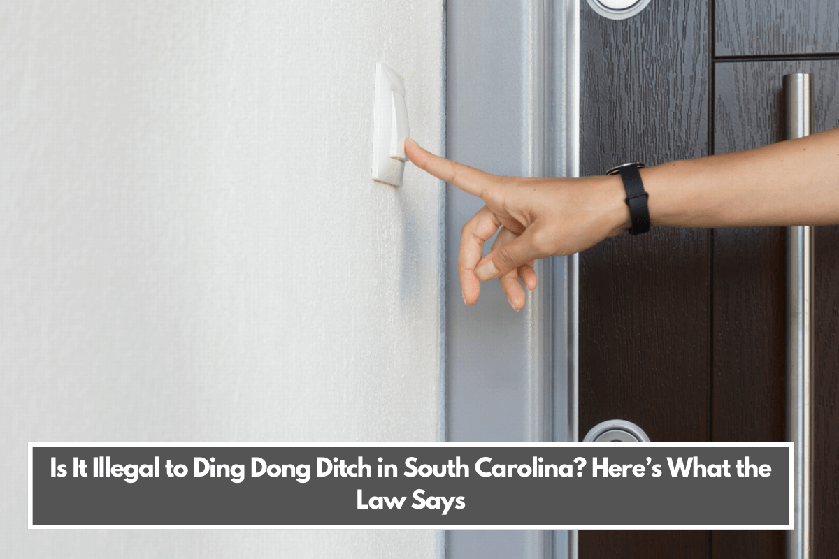 Is It Illegal to Ding Dong Ditch in South Carolina Here’s What the Law Says