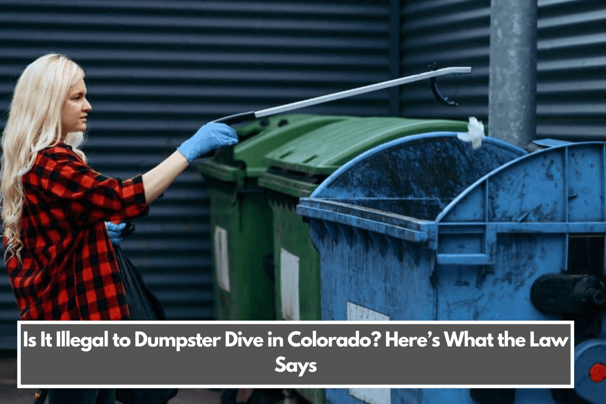 Is It Illegal to Dumpster Dive in Colorado Here’s What the Law Says