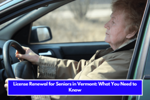 License Renewal for Seniors in Vermont What You Need to Know