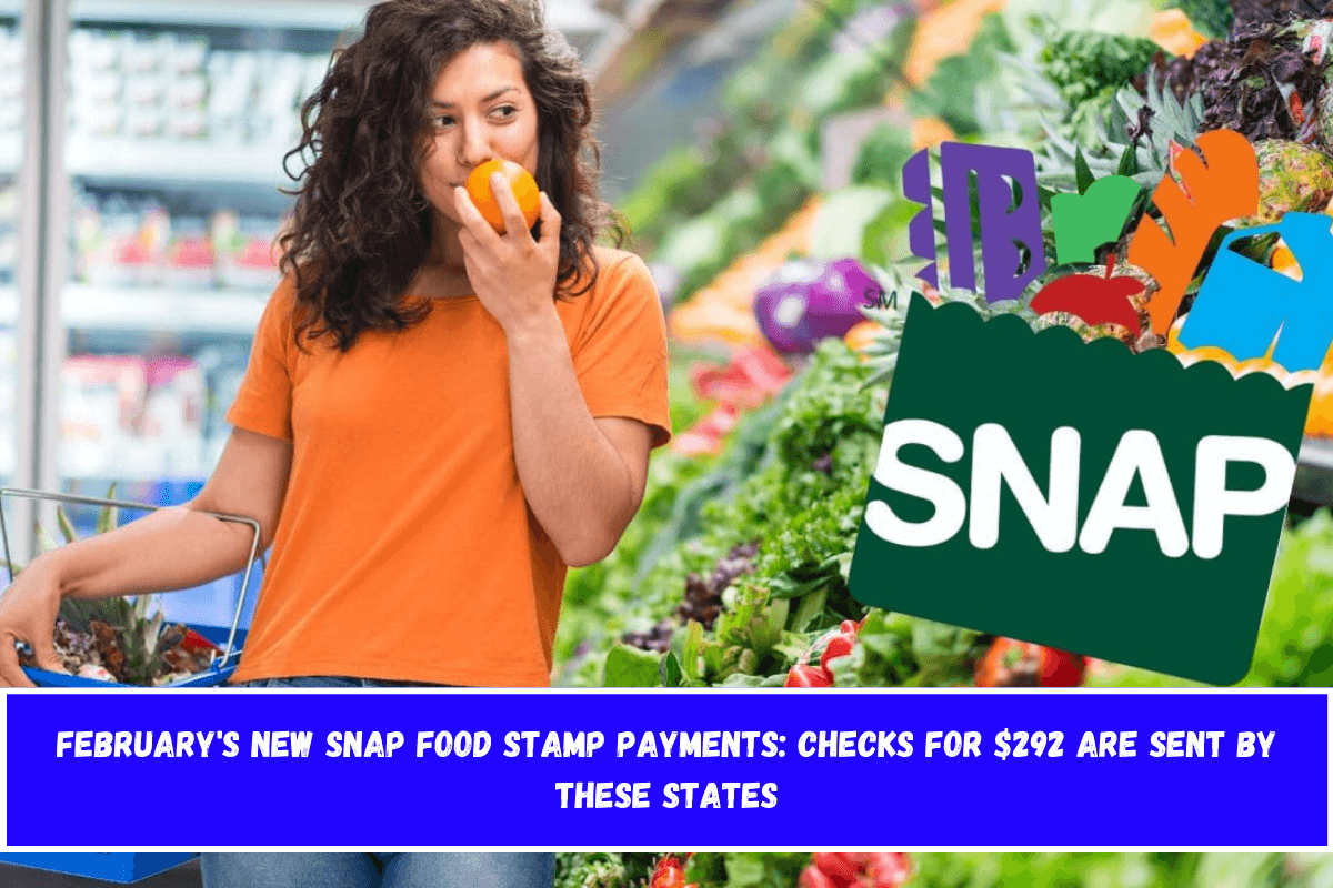 February's New SNAP Food Stamp Payments Checks for $292 Are Sent by These States