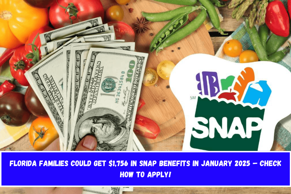 Florida Families Could Get $1,756 in SNAP Benefits in January 2025 – Check How to Apply!