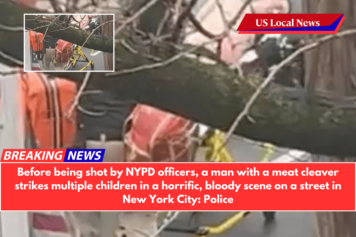 Before being shot by NYPD officers, a man with a meat cleaver strikes multiple children in a horrific, bloody scene on a street in New York City Police