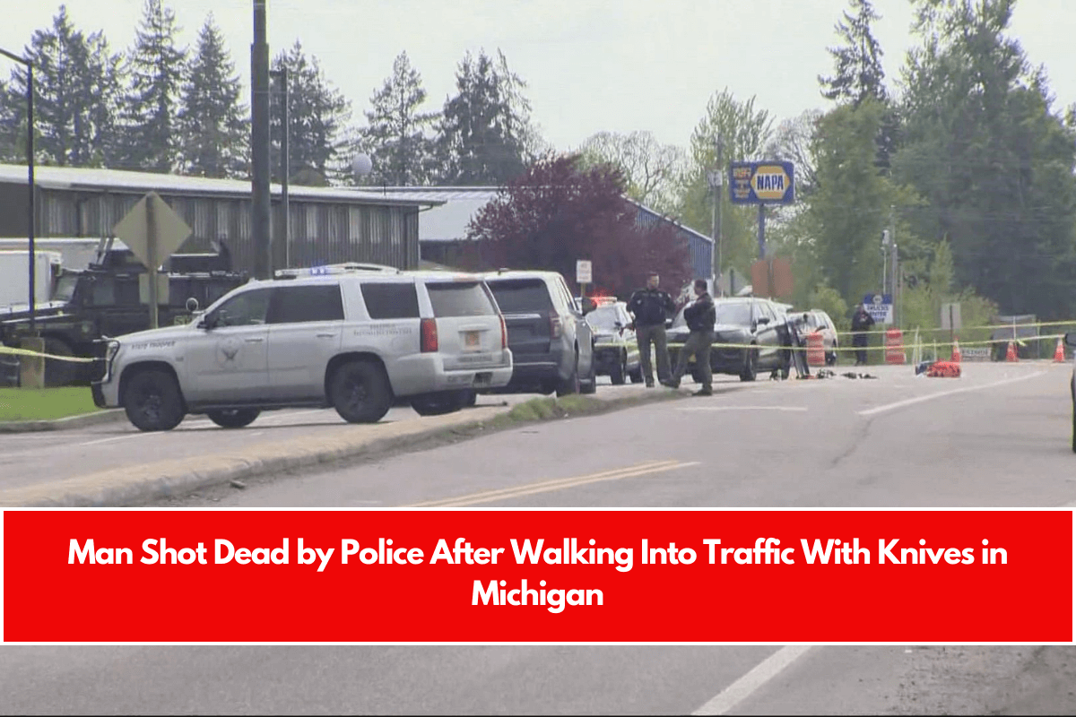 Man Shot Dead by Police After Walking Into Traffic With Knives in Michigan